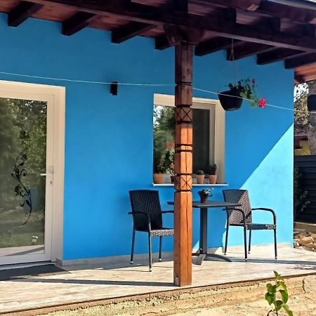 Casaady Villa Търгу Нямц Екстериор снимка